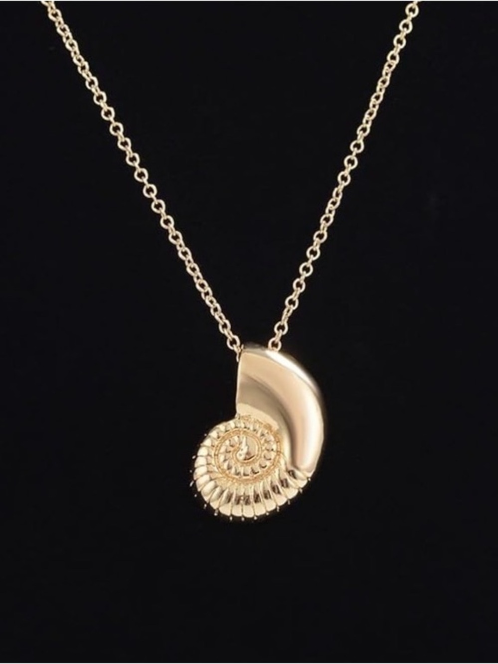 Gold Nautilus Pendant Necklace with Pink Shell Drop Earrings - Women's Jewelry - Picture 5 of 5